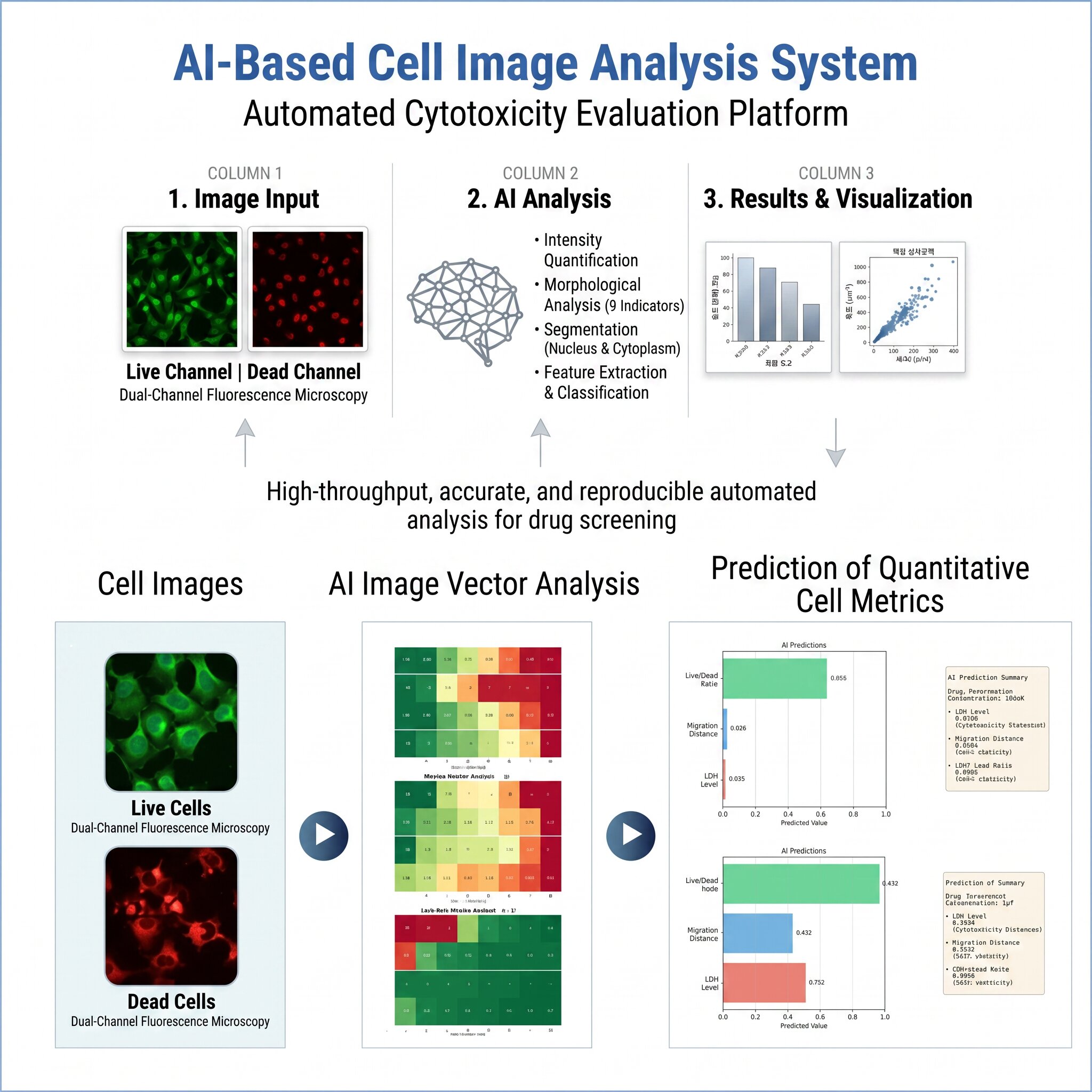 AI-based fluorescence image analysis pipeline