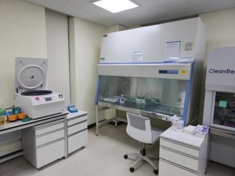Cell culture clean bench